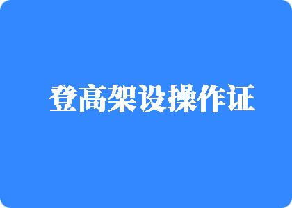 骚逼挨操黄片登高架设操作证